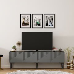 Erva Tv Ünitesi Tv Sehpası Antrasit-ceviz